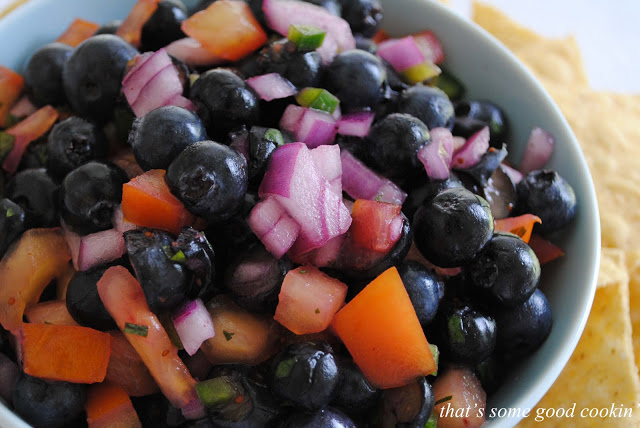 Minted Blueberry Salsa 155 copy