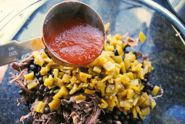 Shredded Beef Enchiladas 1198